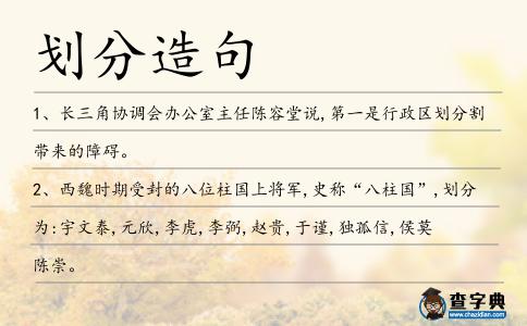 劃分造句