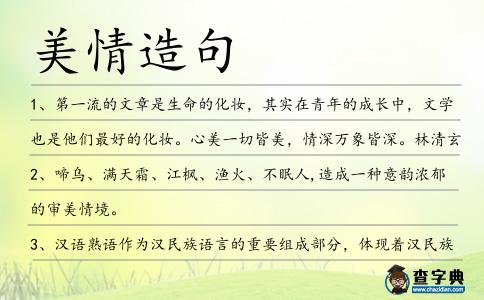 美情造句
