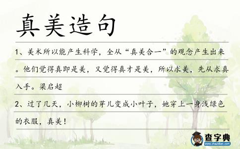 真美造句