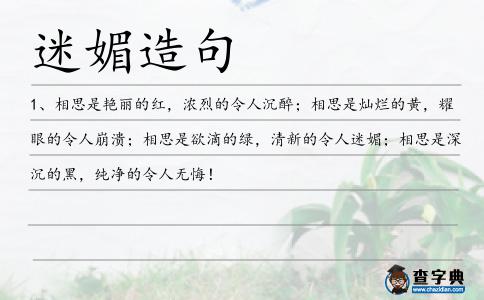 迷媚造句