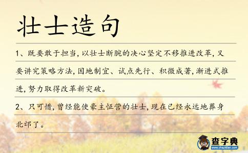 壯士造句