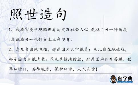 照世造句