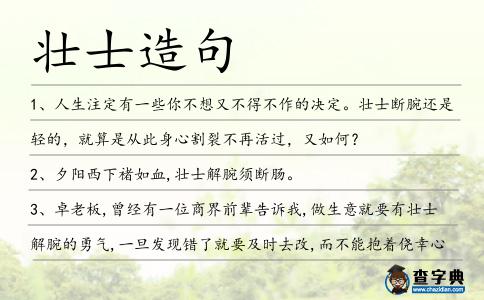 壯士造句