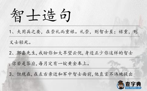 智士造句