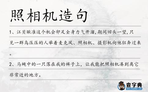 照相機造句