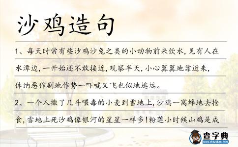 沙雞造句