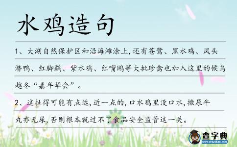 水雞造句