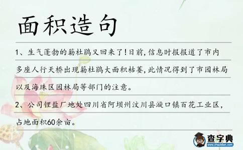 面積造句
