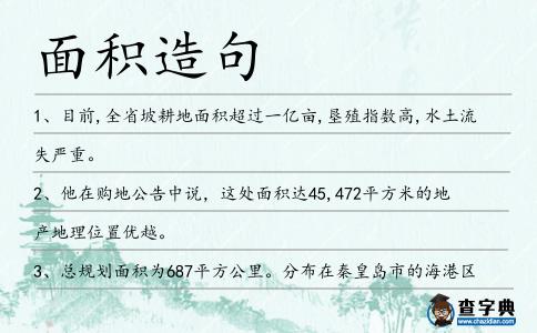 面積造句