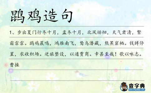鹍雞造句