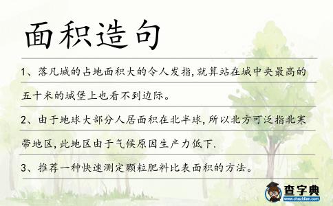 面積造句
