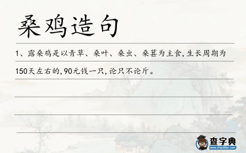 桑雞造句