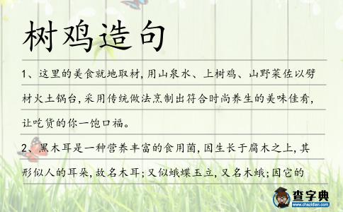 樹雞造句