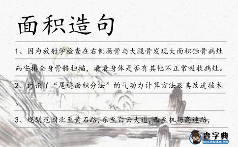 面積造句