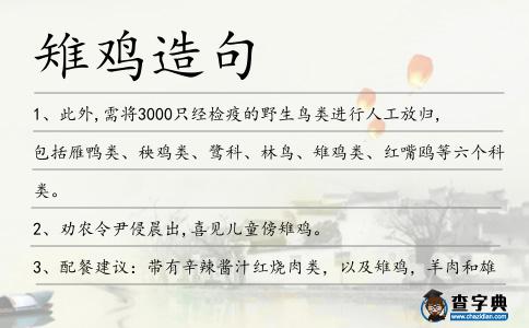 雉雞造句