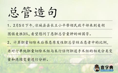 總管造句