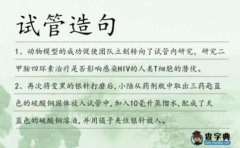試管造句