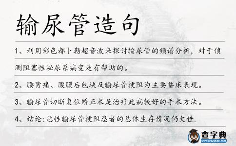 輸尿管造句