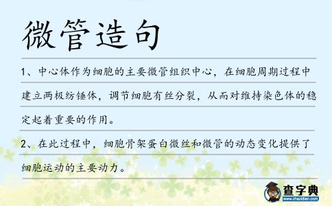 微管造句