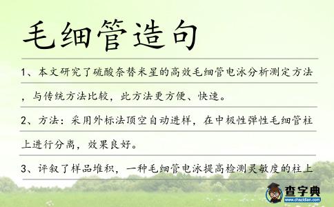 毛細管造句