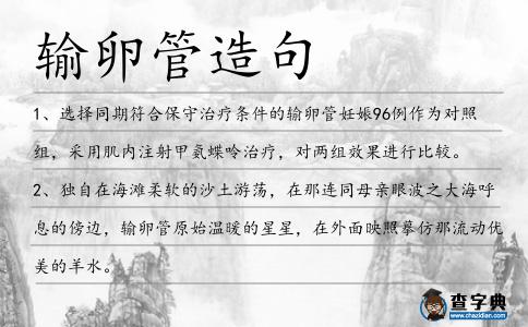 輸卵管造句