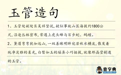 玉管造句