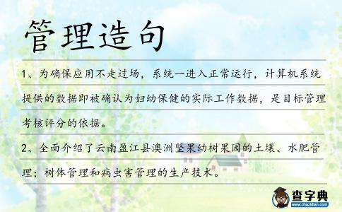 管理造句