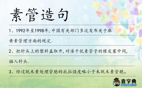 素管造句