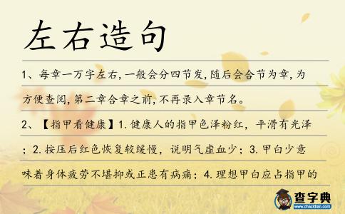 左右造句