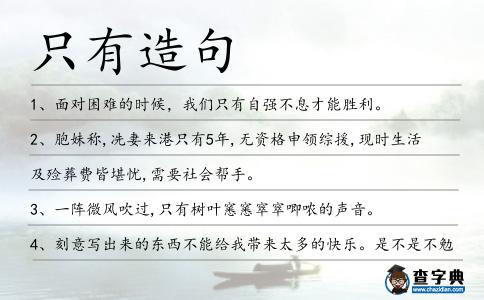 只有造句