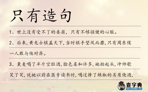 只有造句