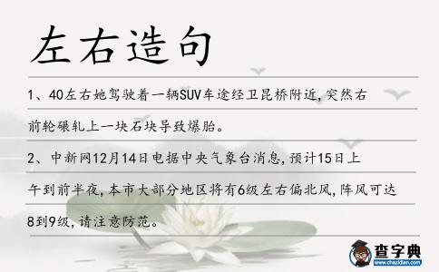左右造句