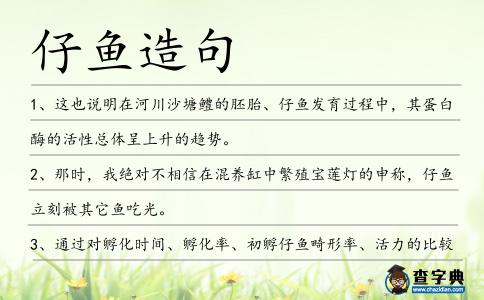 仔魚造句