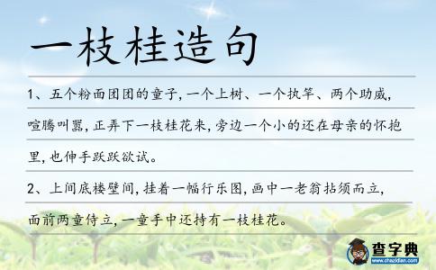 一枝桂造句