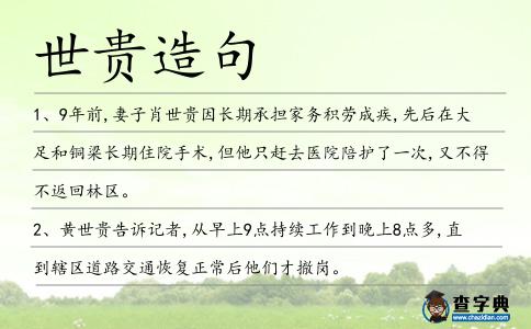 世貴造句