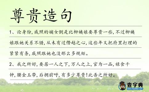 尊貴造句