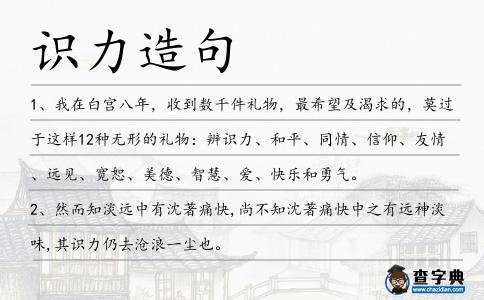 識力造句