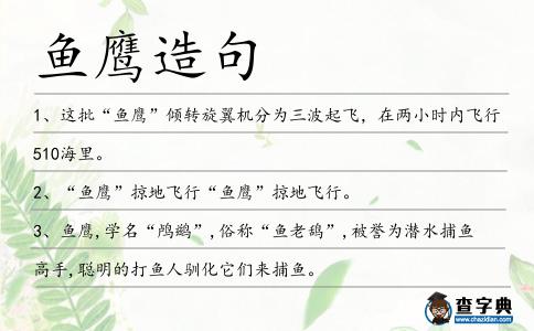 魚鷹造句