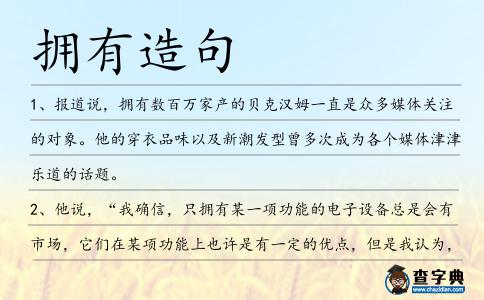 擁有造句