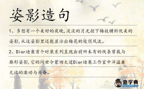 姿影造句