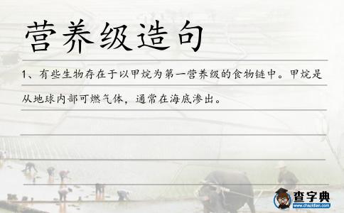 營養(yǎng)級造句