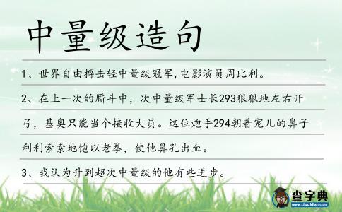中量級(jí)造句
