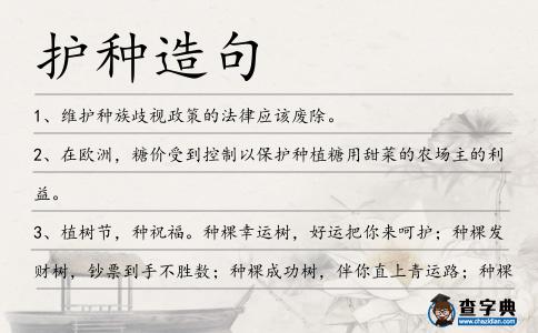護種造句
