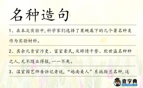 名種造句