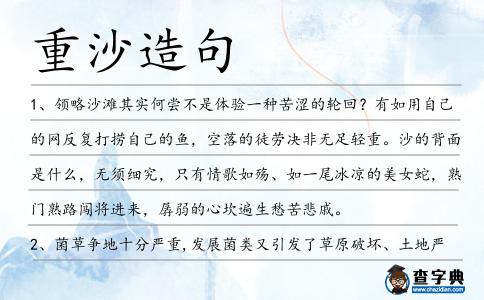 重沙造句