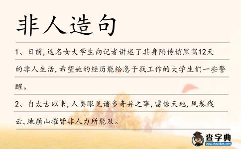 非人造句