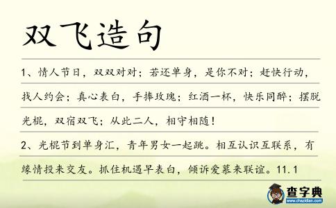 雙飛造句
