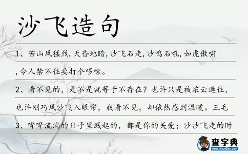 沙飛造句