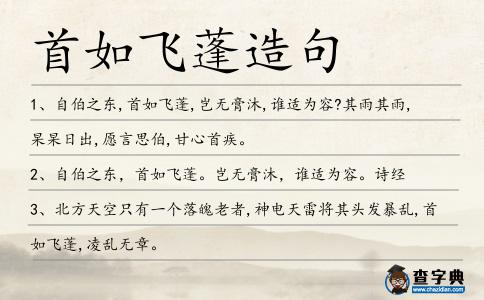 首如飛蓬造句