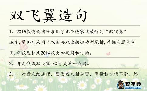 雙飛翼造句